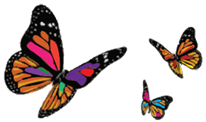 butterflies